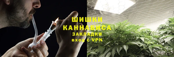 шишки Елабуга