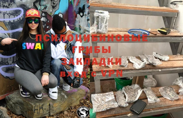 шишки Елабуга