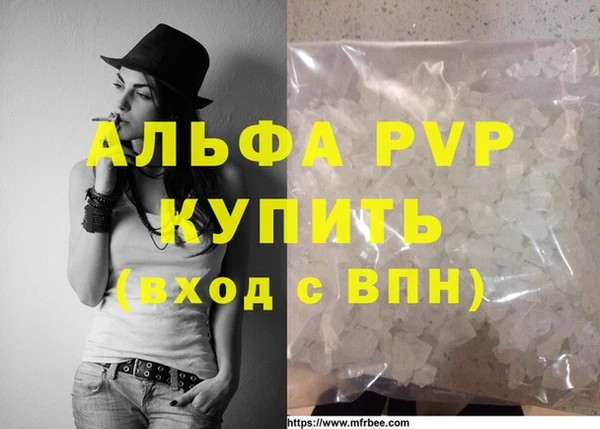 СК Елизово
