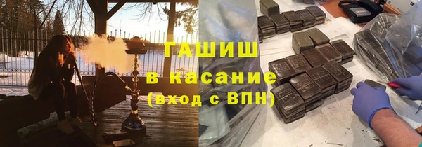 СК Елизово
