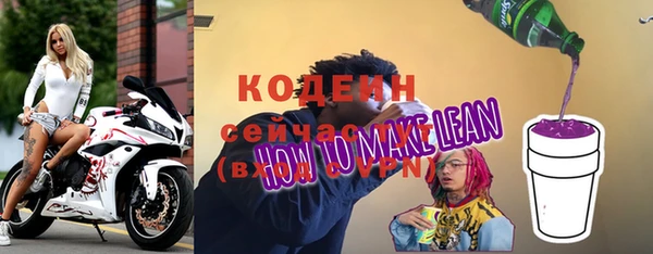 СК Елизово