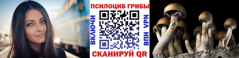 купить  сайты  Североморск  Псилоцибиновые грибы ЛСД 